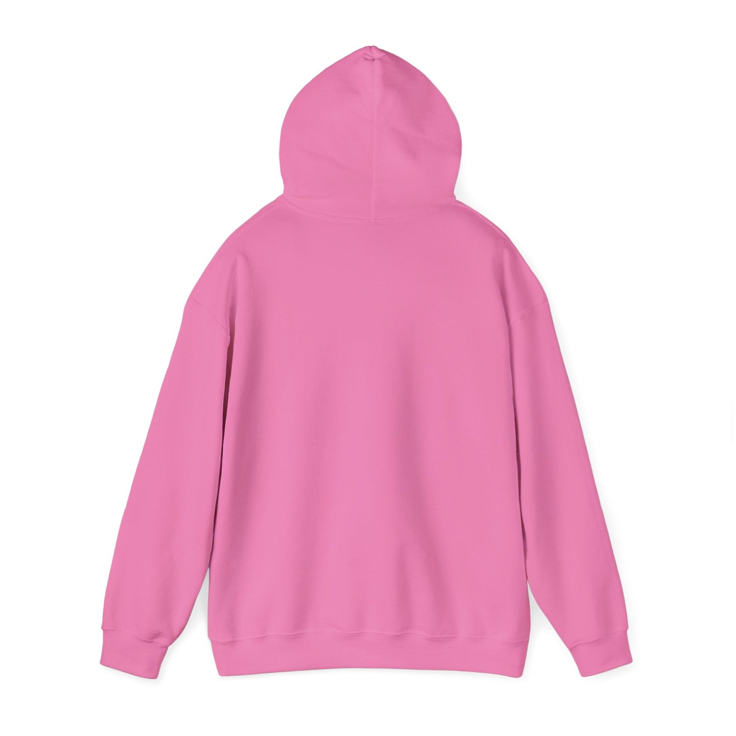 Ban Bigots Not Books Hoodie