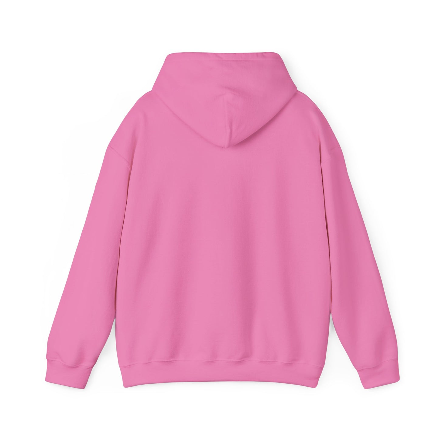 Ban Bigots Not Books Hoodie