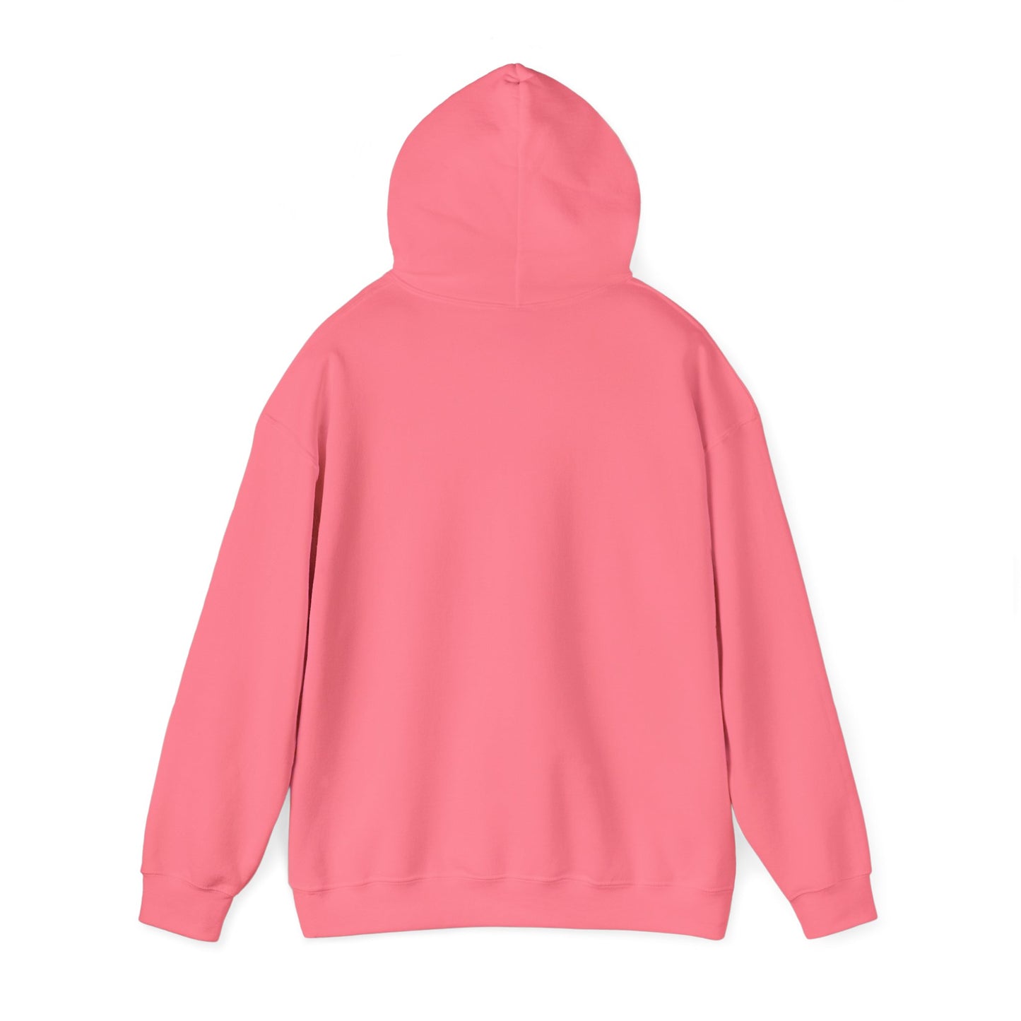Ban Bigots Not Books Hoodie