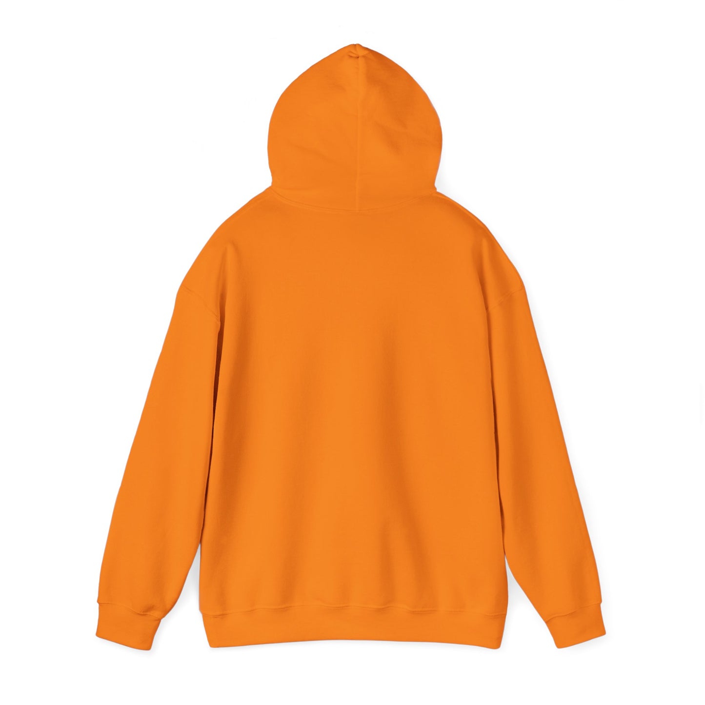 Ban Bigots Not Books Hoodie