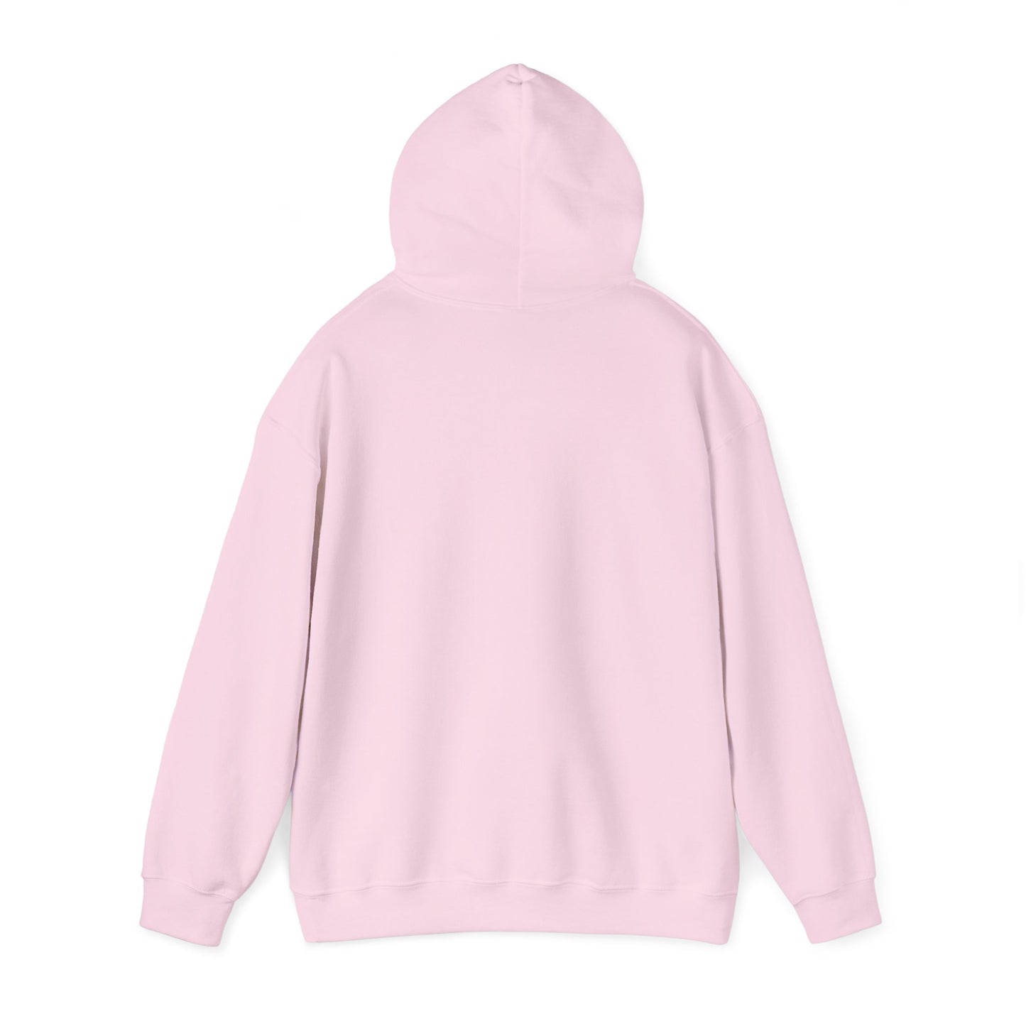 Ban Bigots Not Books Hoodie
