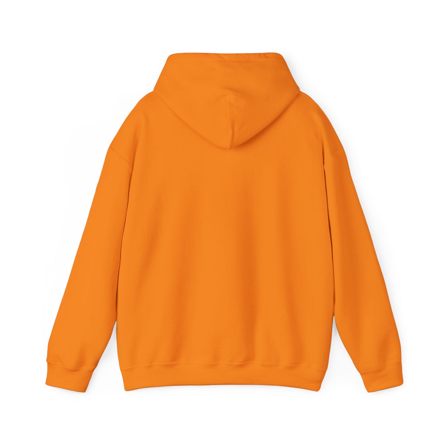 Ban Bigots Not Books Hoodie
