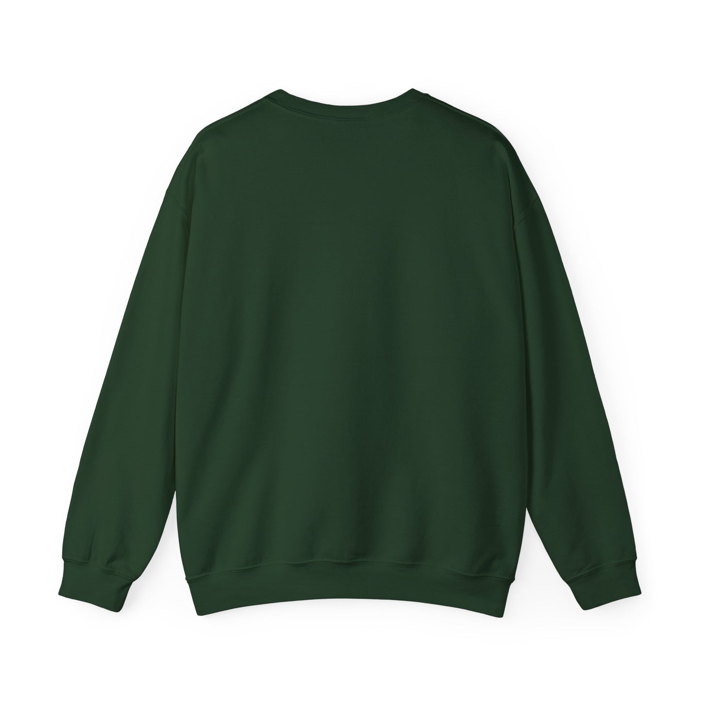 Human Rights Sweatshirt