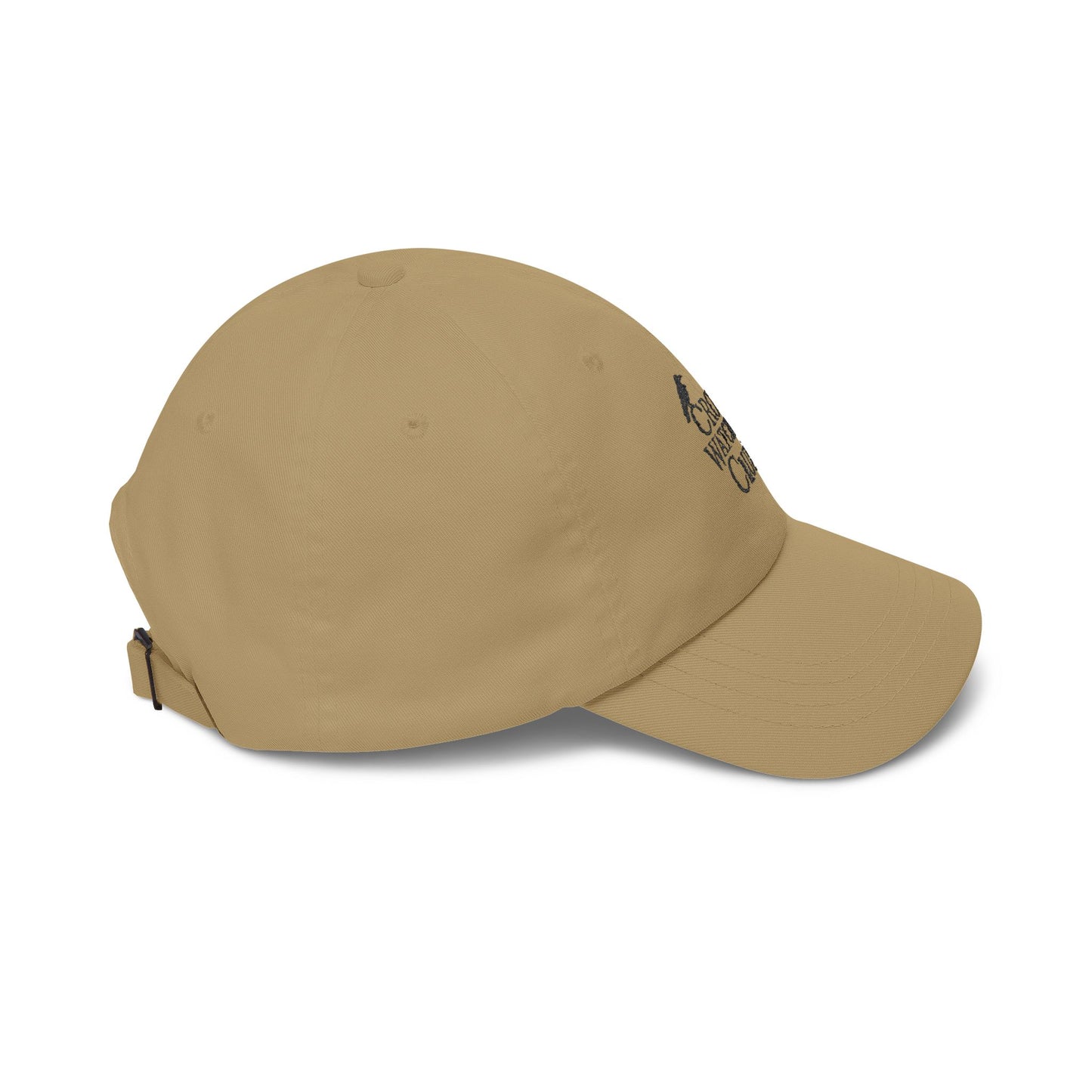 Crow Watching Club Embroidered Hat