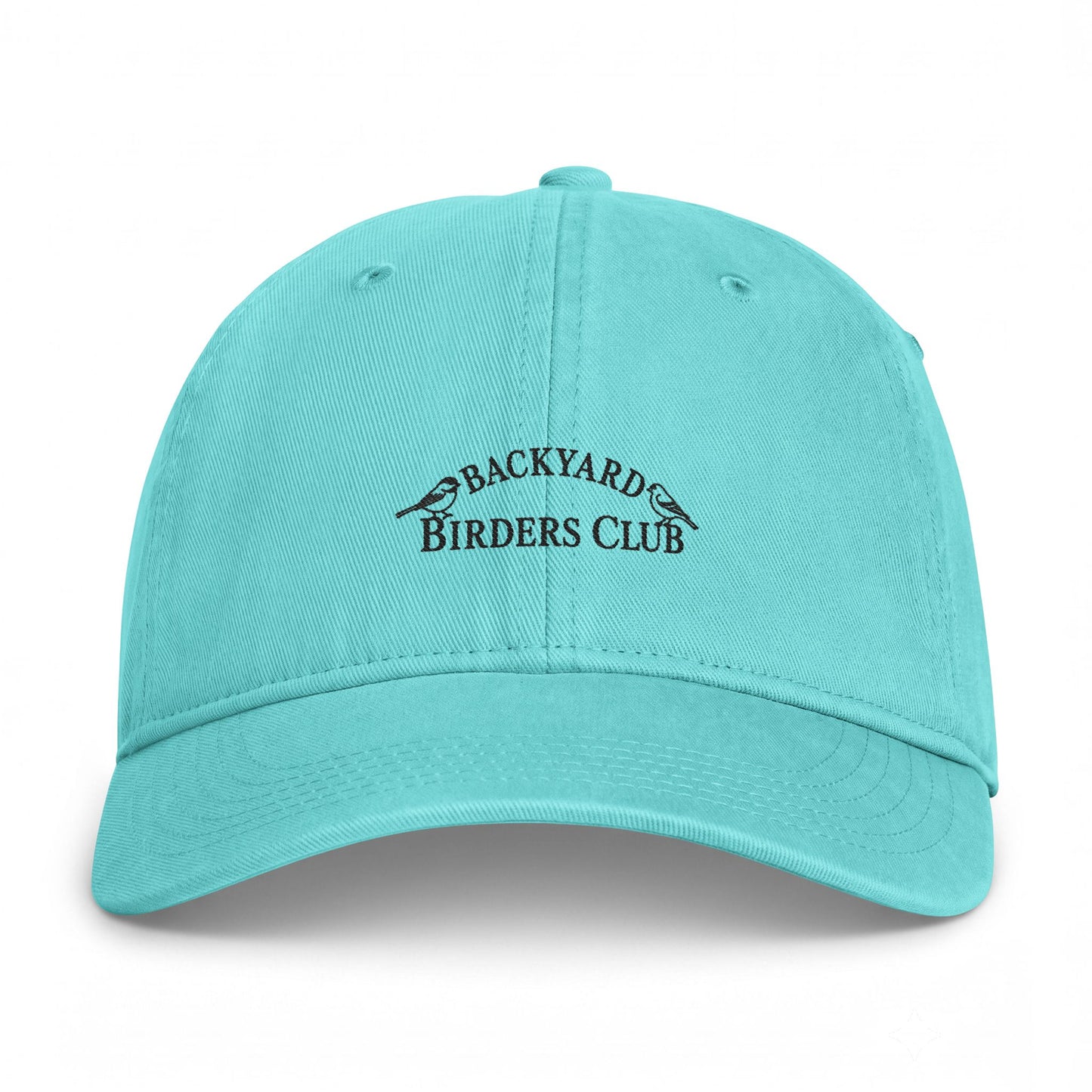 Backyard Birders Club Washed Coastal Cap