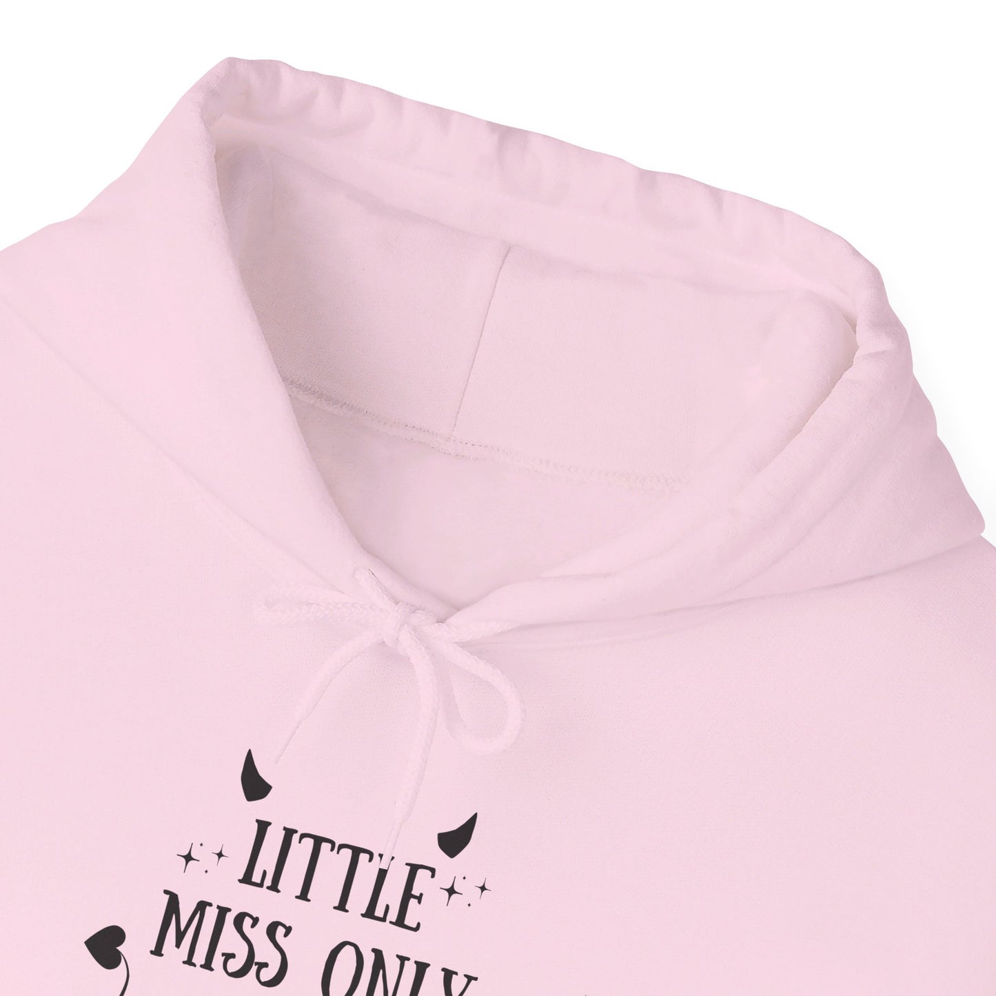 Little Miss Only Reads Smut Hoodie