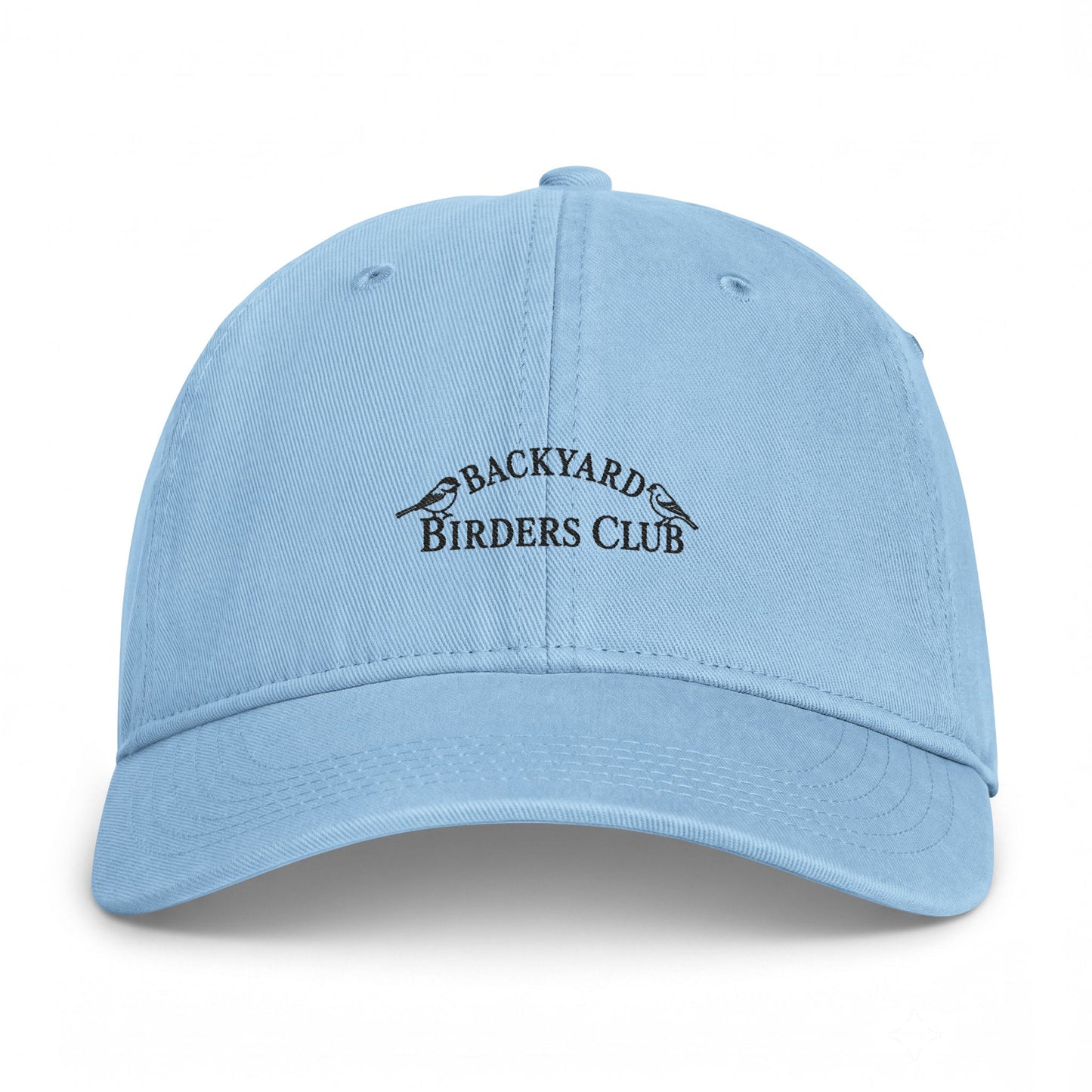 Backyard Birders Club Washed Coastal Cap
