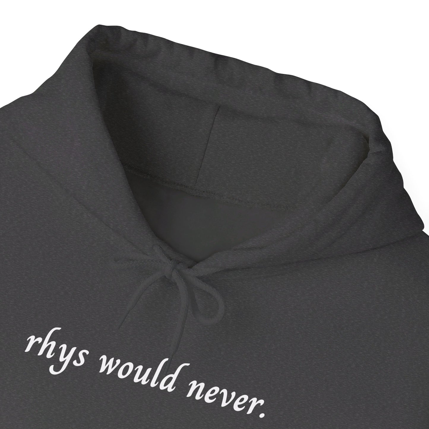 Rhys Would Never Hoodie