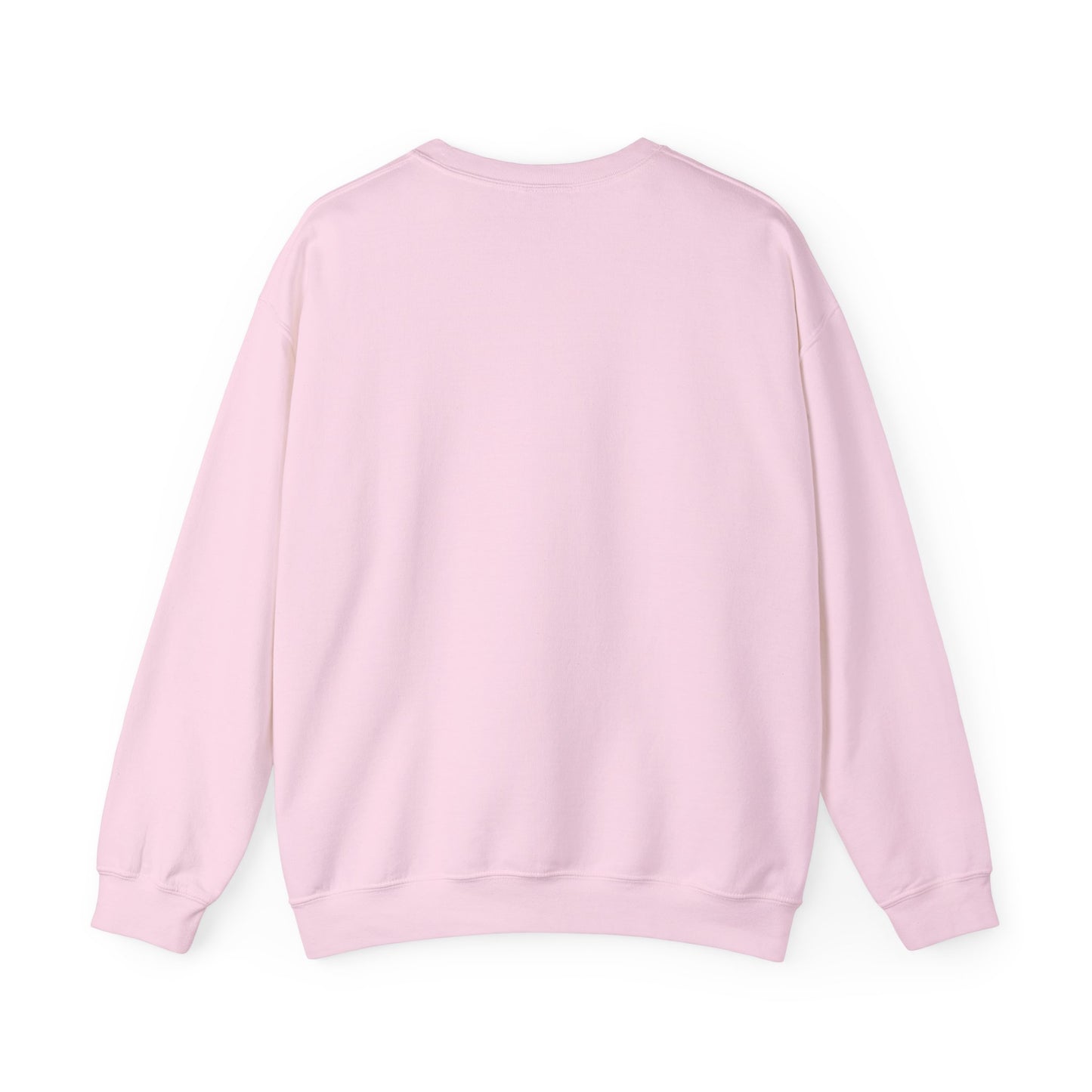 Boys in Books Sweatshirt