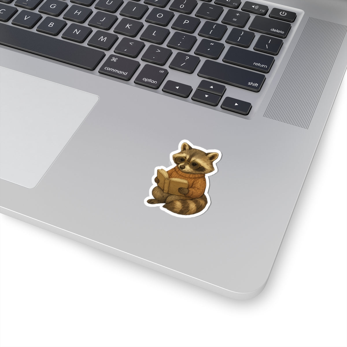 Reading Racoon Sticker