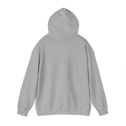 Book Club Babe Hoodie