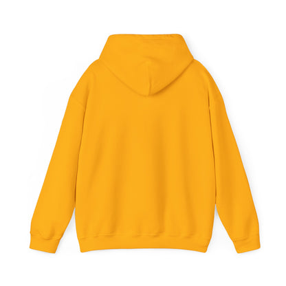 Book Club Babe Hoodie