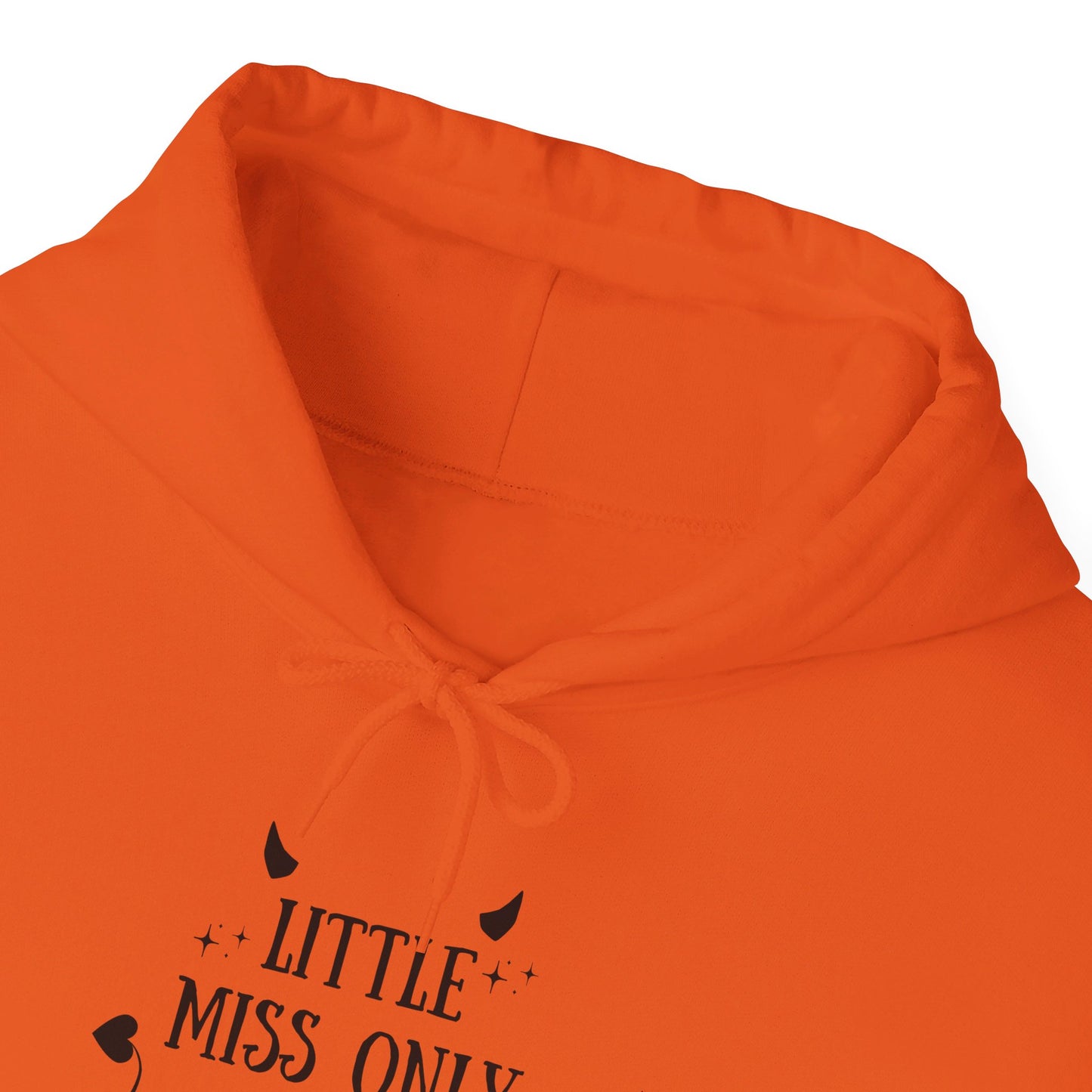 Little Miss Only Reads Smut Hoodie