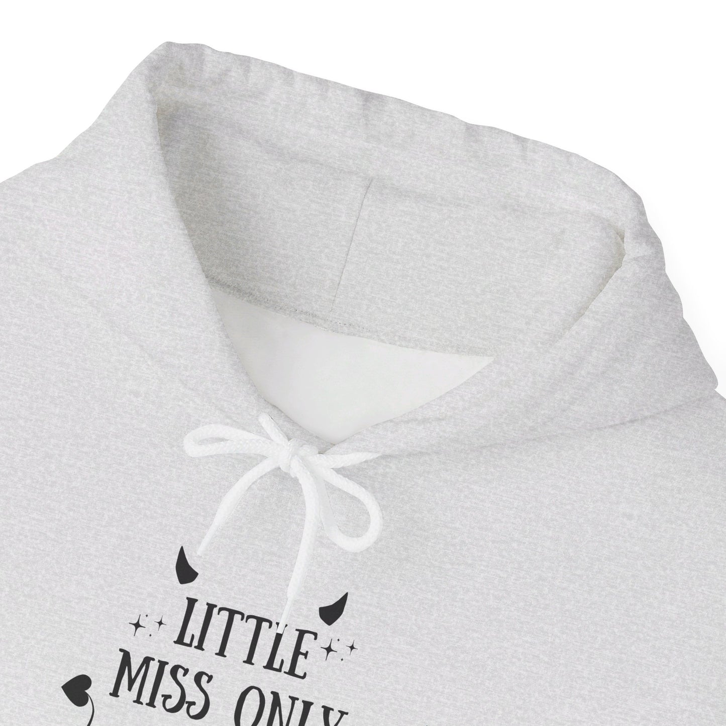 Little Miss Only Reads Smut Hoodie