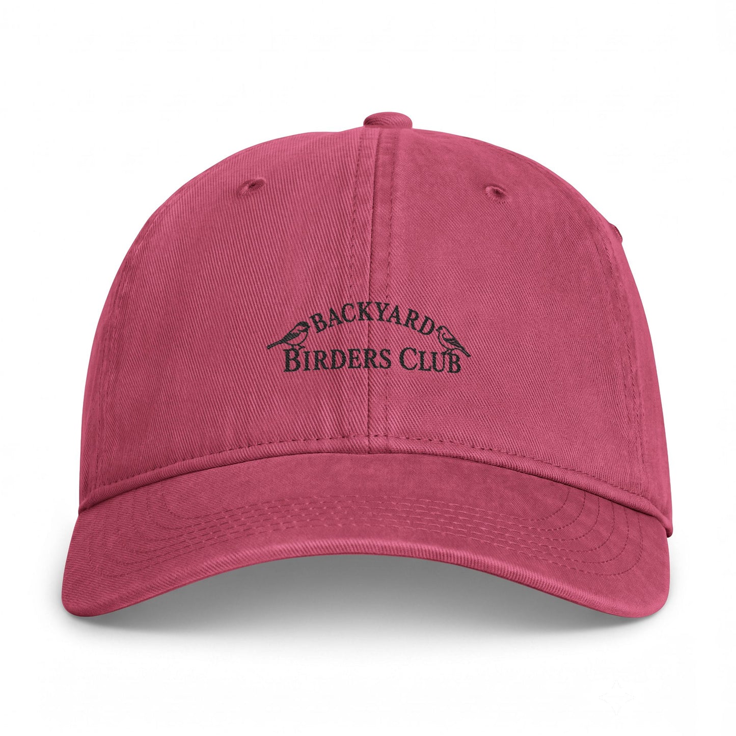 Backyard Birders Club Washed Coastal Cap