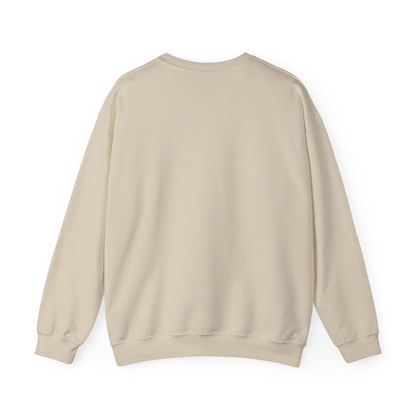 Boys in Books Sweatshirt