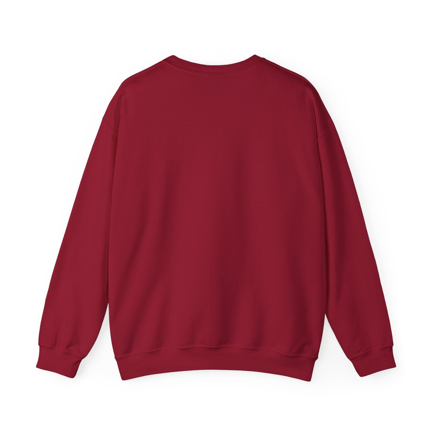 Boys in Books Sweatshirt