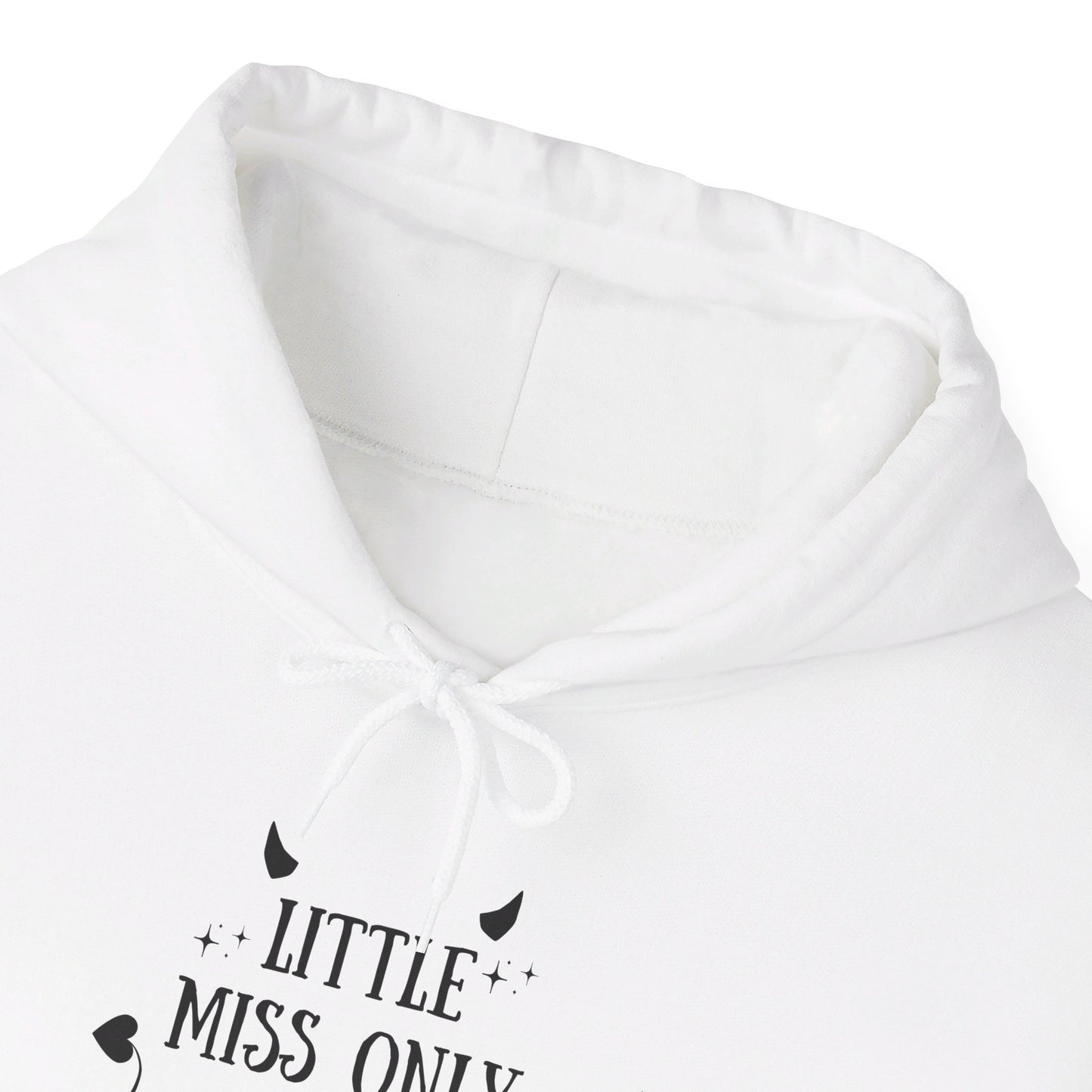 Little Miss Only Reads Smut Hoodie