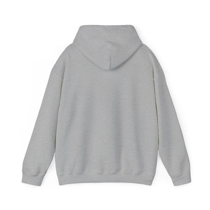 Book Club Babe Hoodie