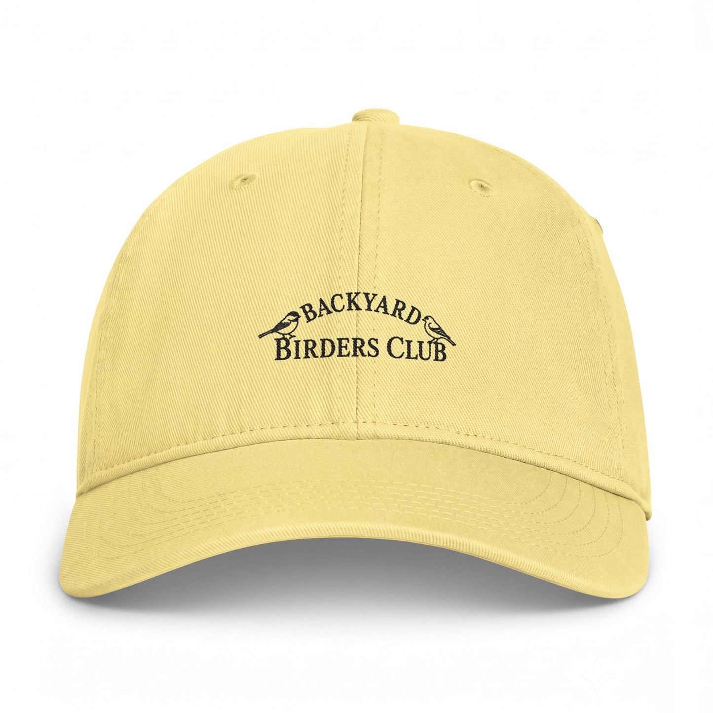 Backyard Birders Club Washed Coastal Cap