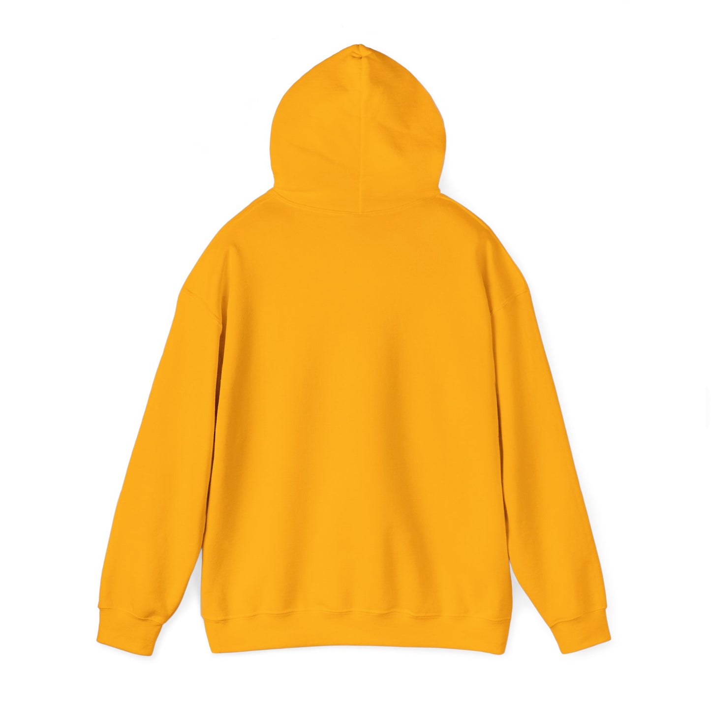 Booktrovert Definition Hoodie