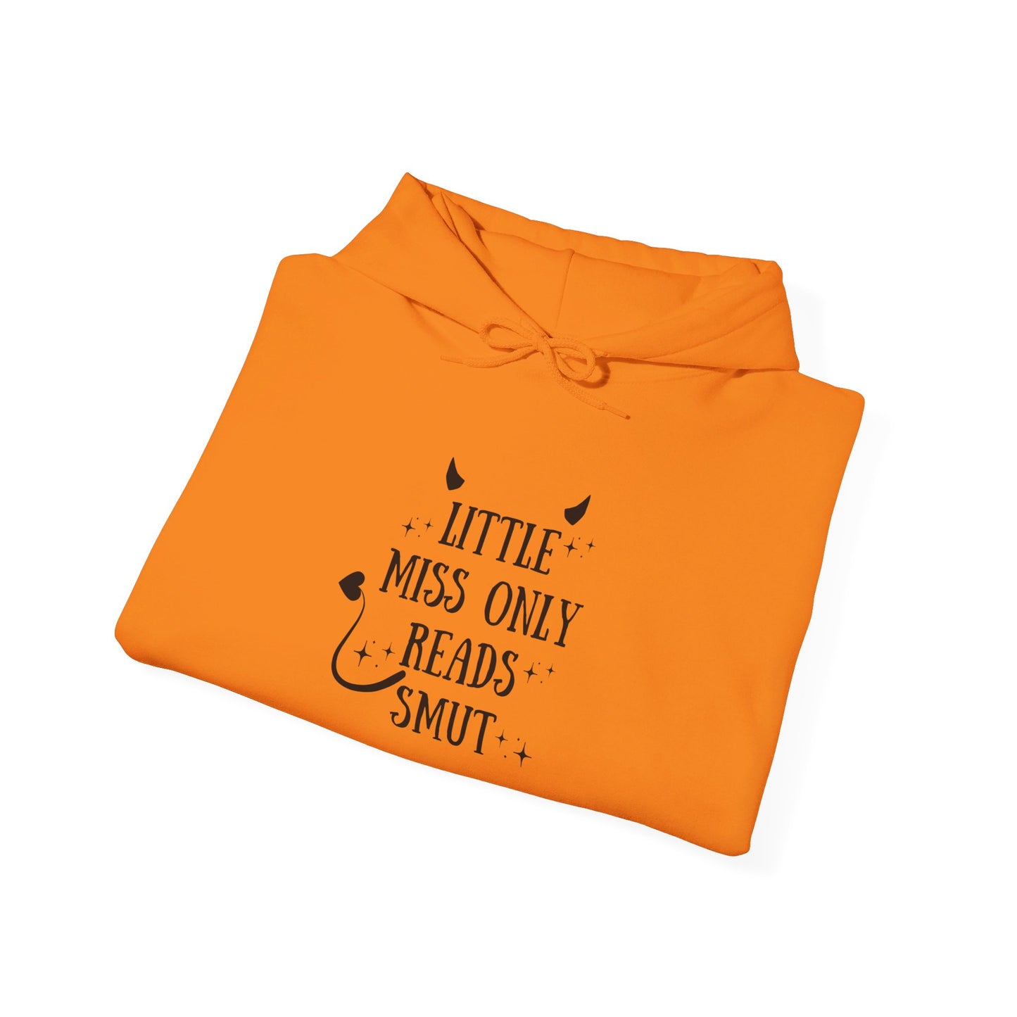 Little Miss Only Reads Smut Hoodie