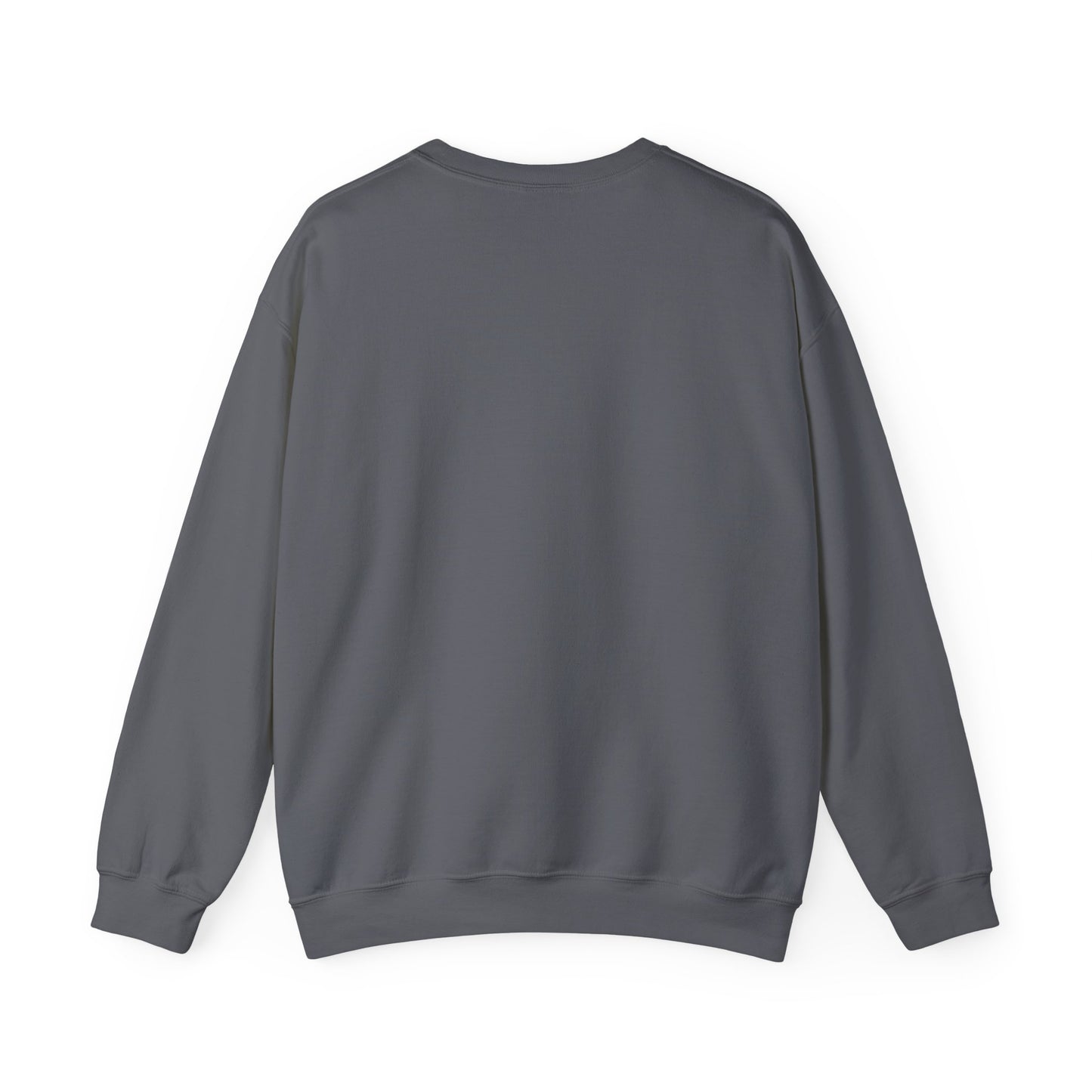 Boys in Books Sweatshirt
