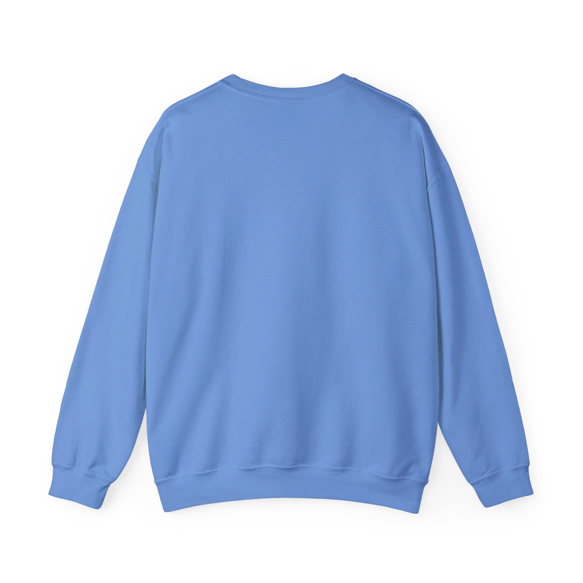 Long deals Sleeve Crewneck Club 33 sweater