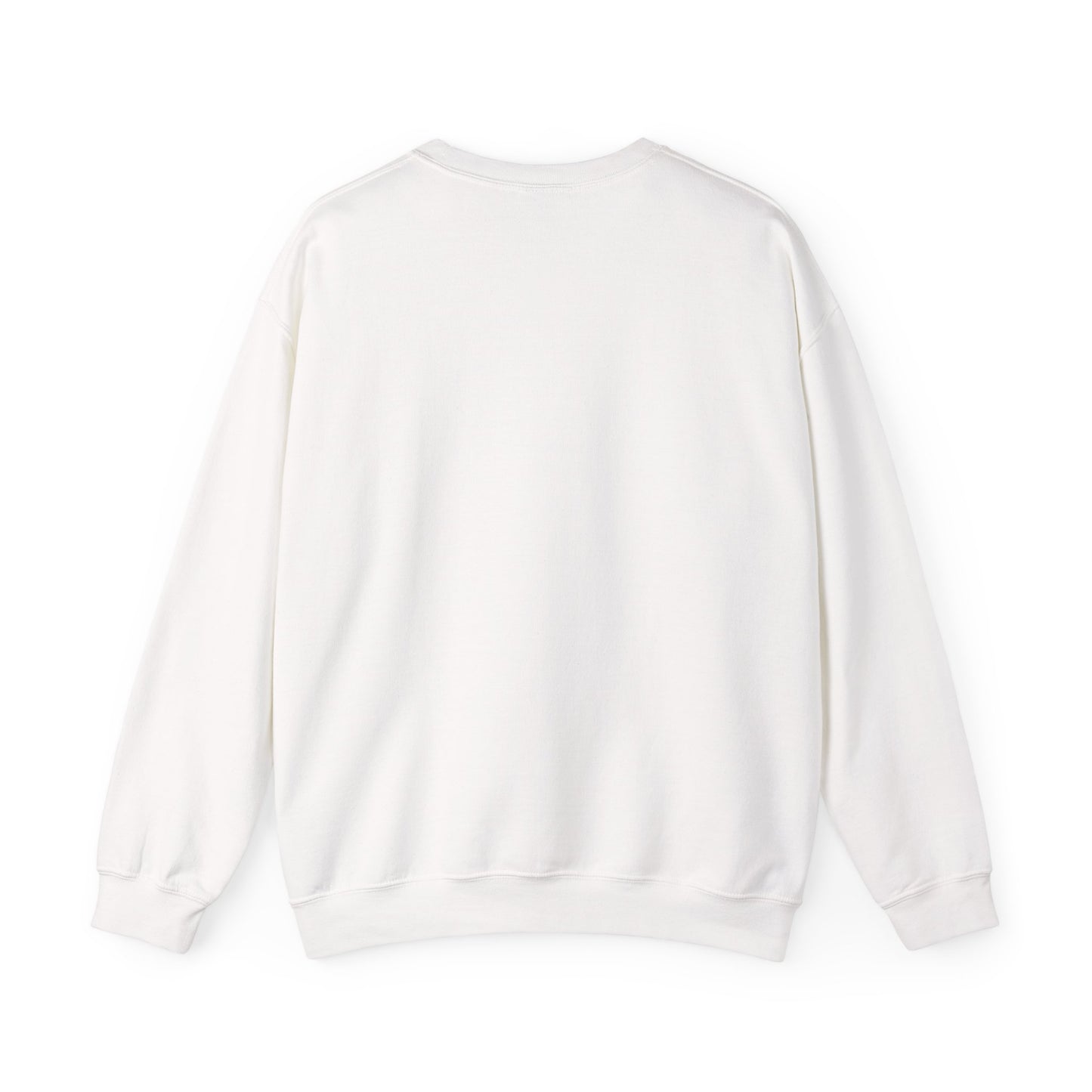Human Rights Sweatshirt