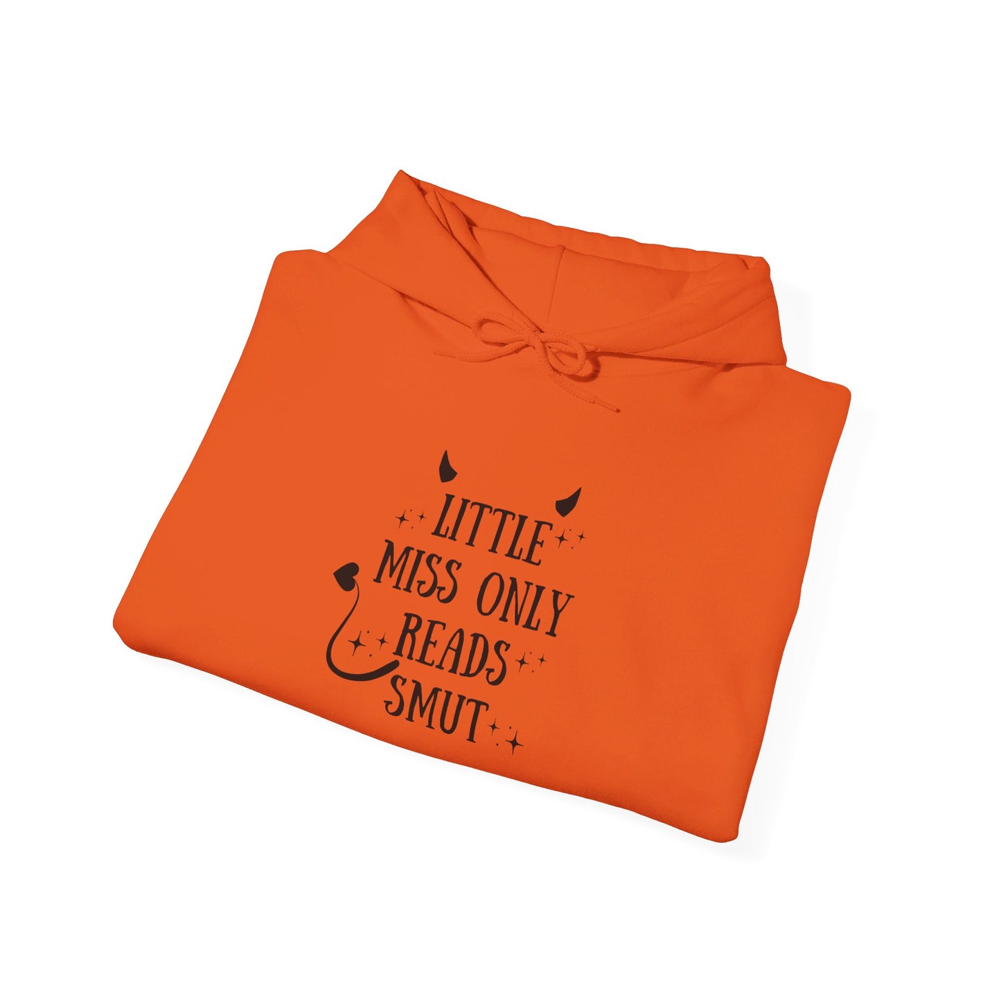 Little Miss Only Reads Smut Hoodie