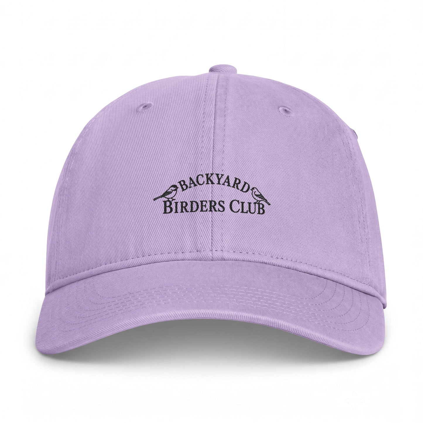 Backyard Birders Club Washed Coastal Cap