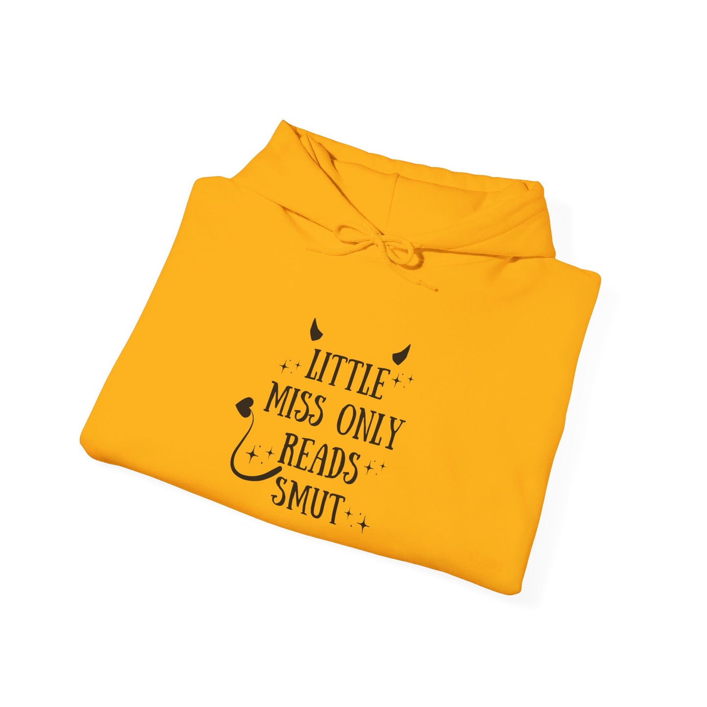 Little Miss Only Reads Smut Hoodie