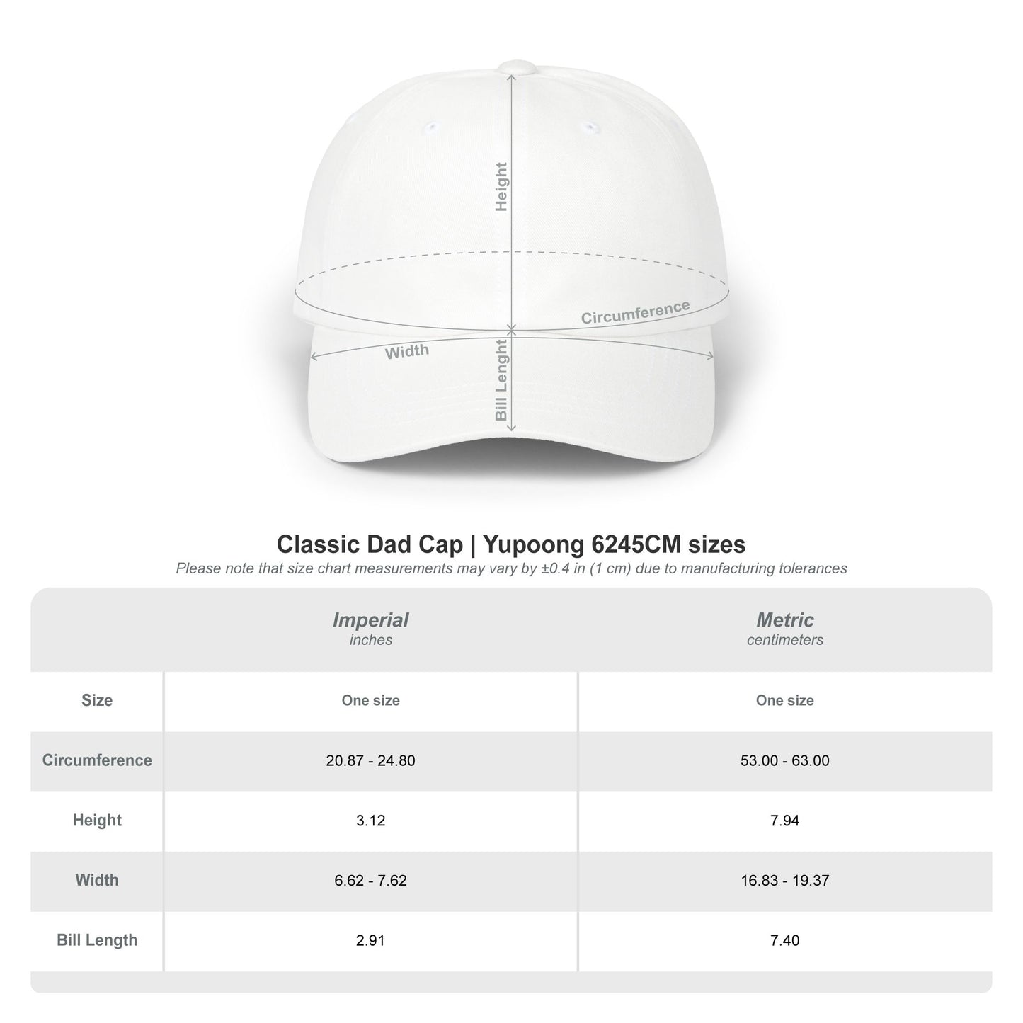 Currently Reading Embroidered Cap