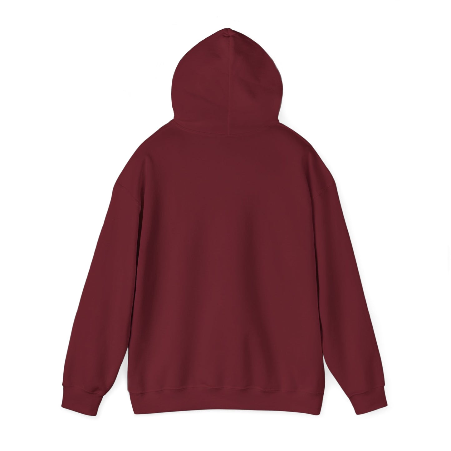 Booktrovert Definition Hoodie