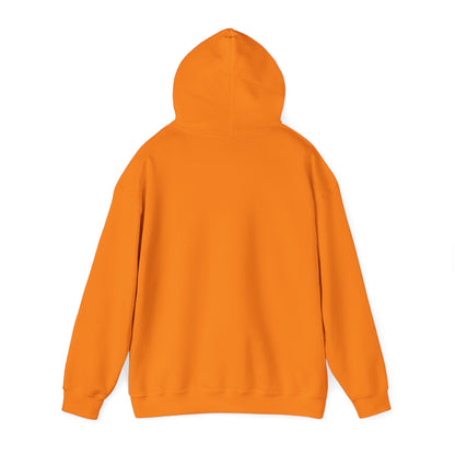 Book Club Babe Hoodie