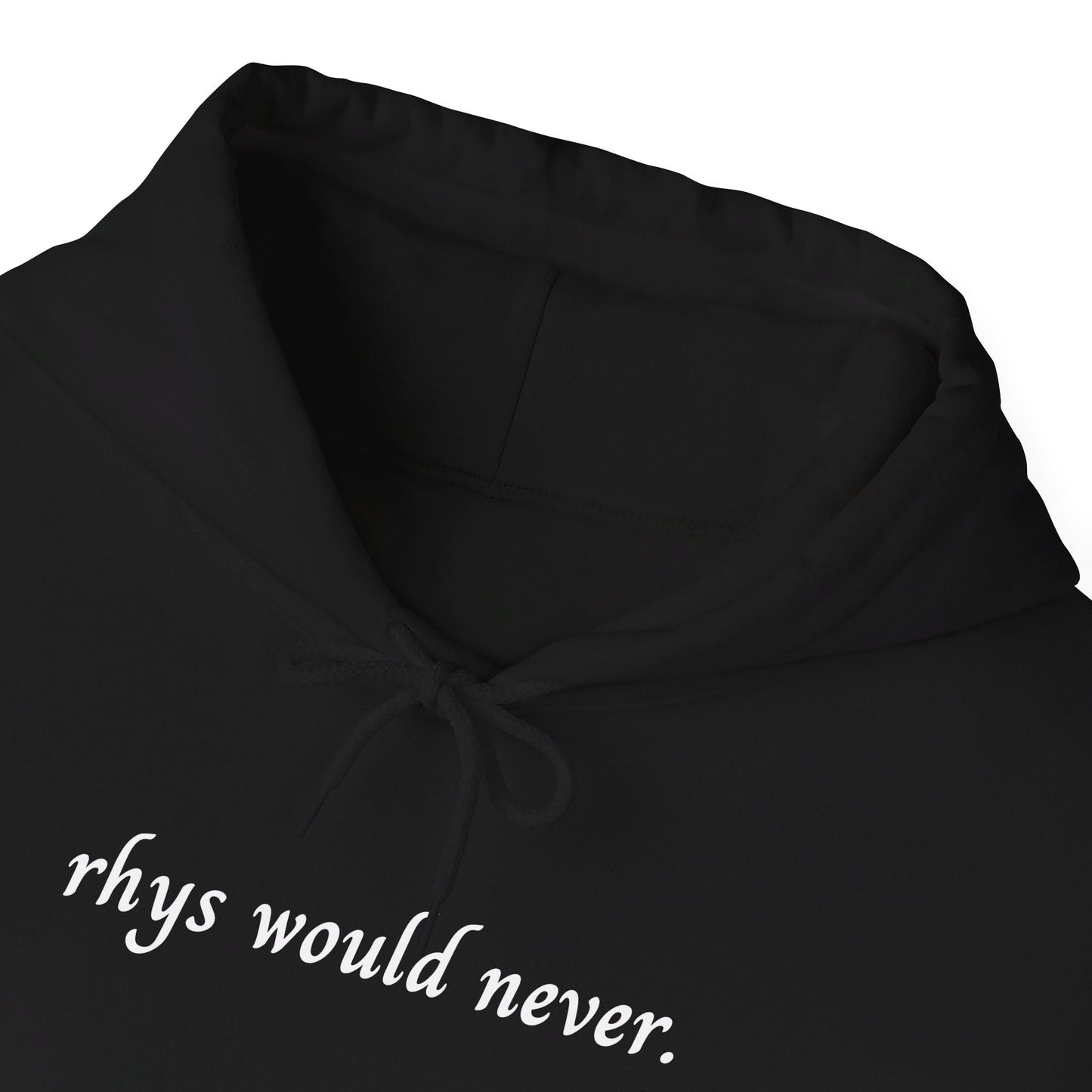 Rhys Would Never Hoodie