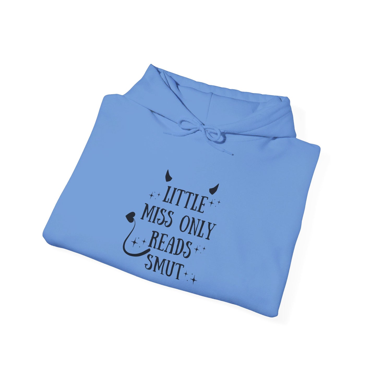 Little Miss Only Reads Smut Hoodie