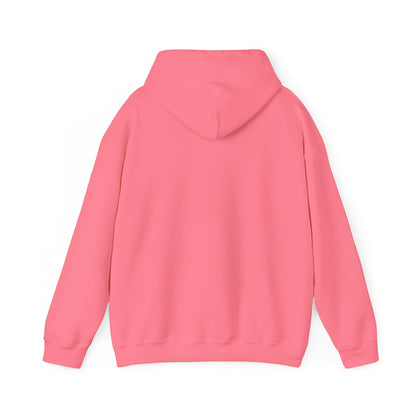 Book Club Babe Hoodie